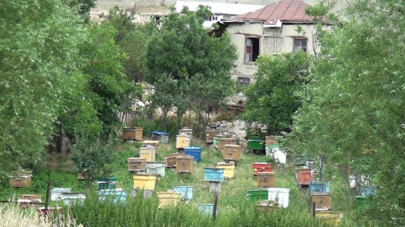 Qubanın unudulan kəndi - Yol da, məktəb də yoxdur