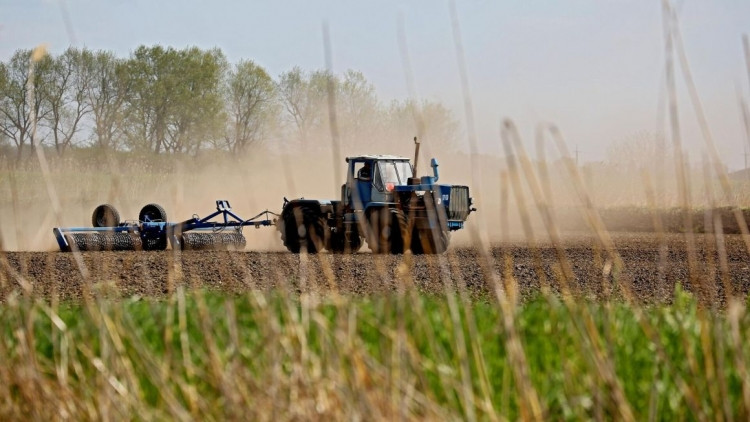 Kənd təsərrüfatına subsidiyalar artıb, məhsuldarlıq isə azalıb