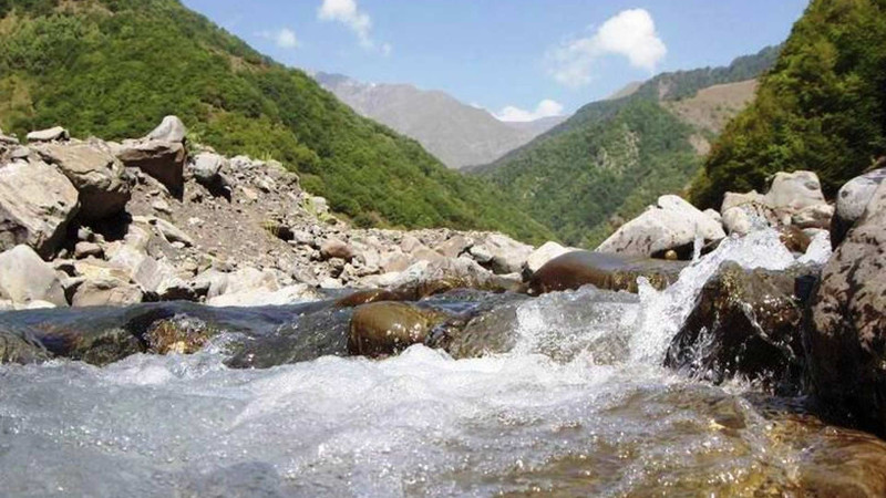 Balıqlar öldüyü sudan insanlar içir: Çirklənən Qusarçay - VİDEO