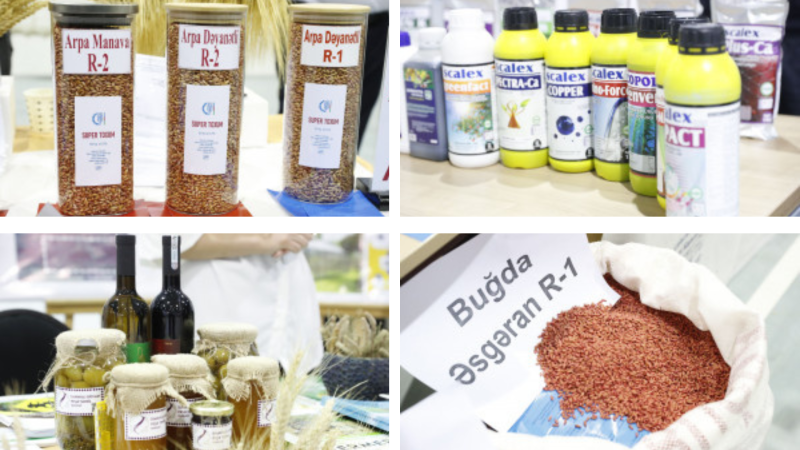 Şamaxıda toxum sərgi-satış yarmarkası və aqrar festival keçirilib