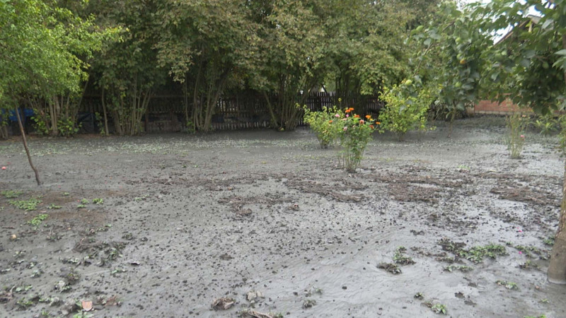 Zaqatalada sel təsərrüfatlara ziyan vurub