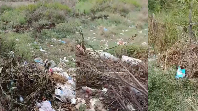 Pirvahiddə təmizlik “itkin düşüb” - VİDEO