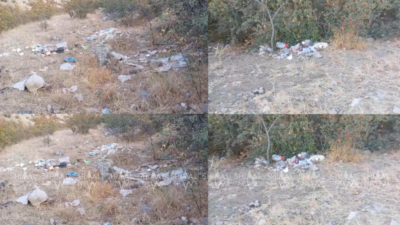 Oğuzda antisanitar vəziyyət yaranıb - VİDEO