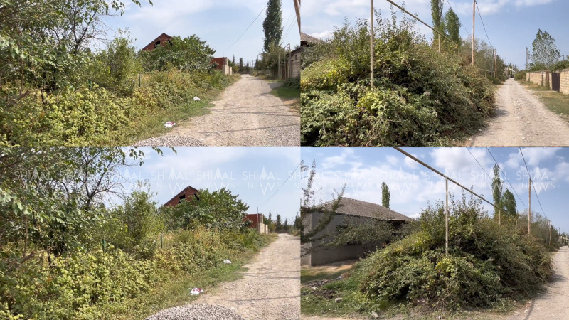 Vəlvələdə yol kənarları zibilliyə və ilan yuvasına çevrilib