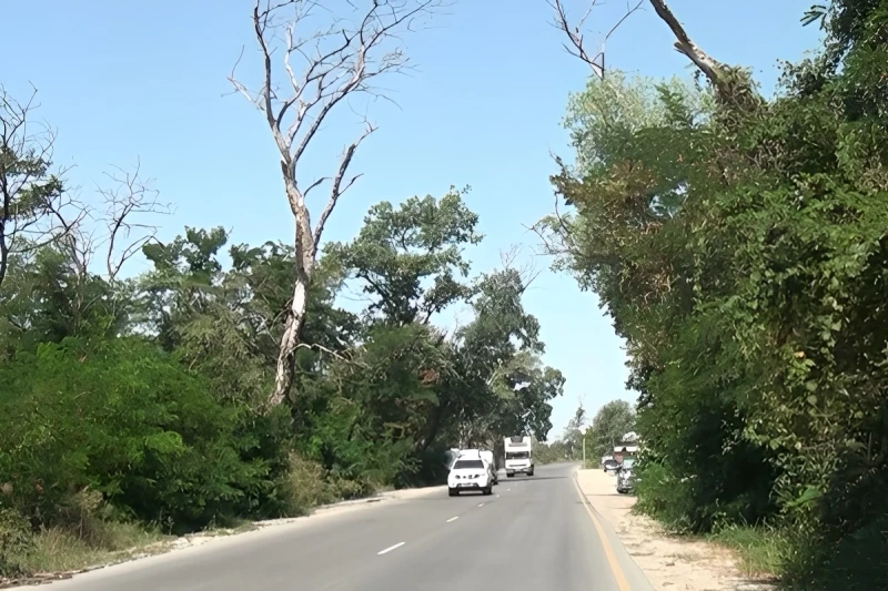 Qusar-Xudat yolunda təhlükə - VİDEO