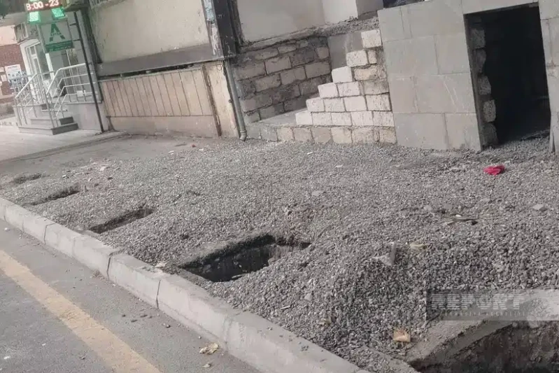 Xaçmazda şam və qovaq ağacları məhv edilib