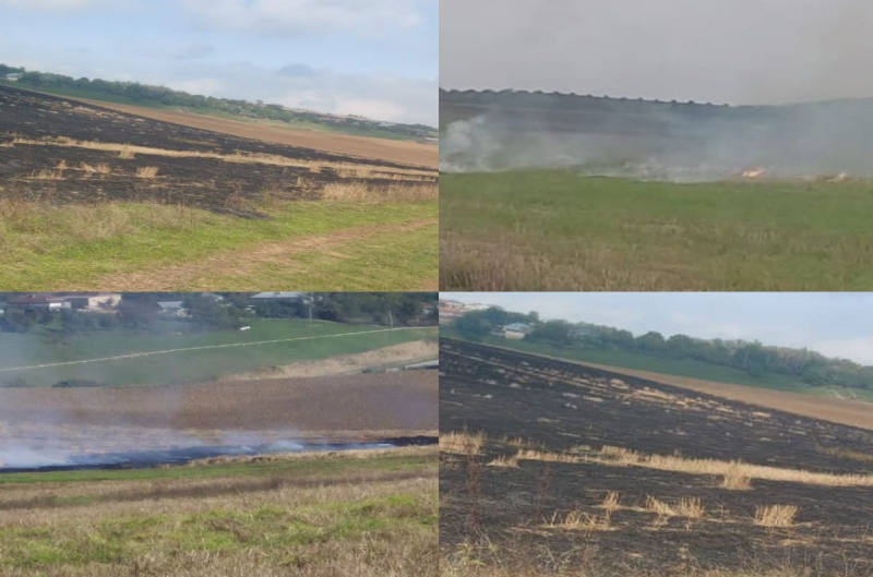 Qusarda əkin sahələrini yandıranlar saxlanıldı