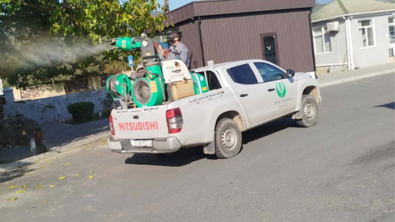 Zaqatala və Balakəndə Tap öldür kampaniyası