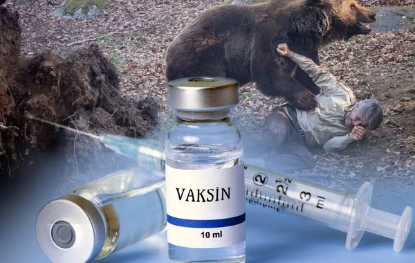 Rayonlarda quduzluğa qarşı vaksin ehtiyatı varmı?