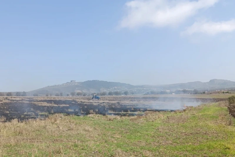 Şamaxıda yanğın törədən şəxs saxlanıldı