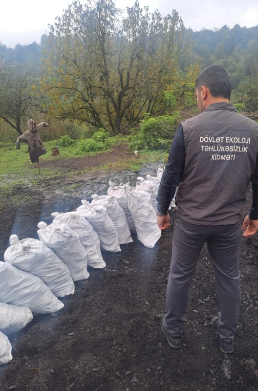 218 qanunsuz kömür quyusu ləğv edildi