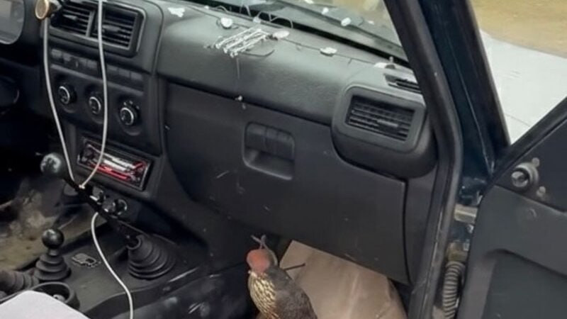 Türkiyə vətəndaşı Şabranda cəzalandırılıb