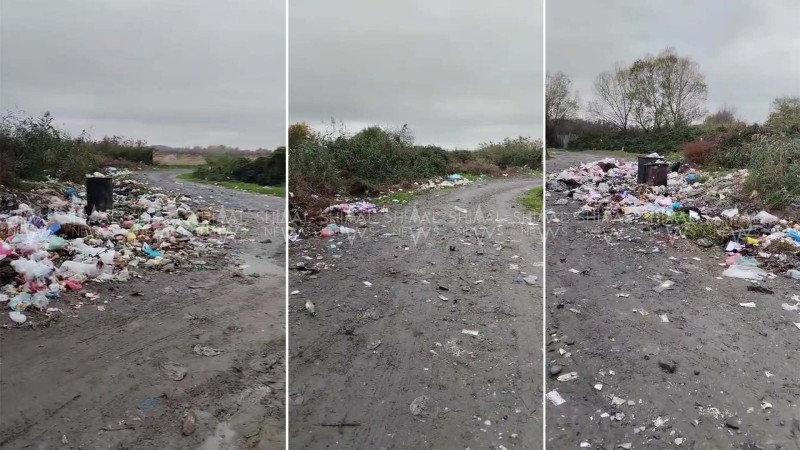 İzmaylovkanın bitməyən zibil problemi