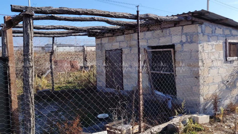 Şəki sakininə verilən qoyunlar xəstə imiş - VİDEO