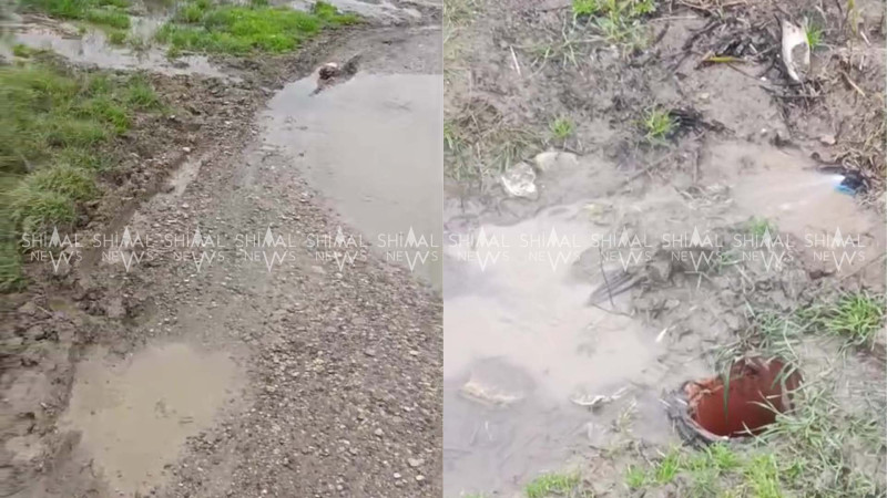 Şabranda su xətti zədələnib - İsrafın qarşısı alınmır