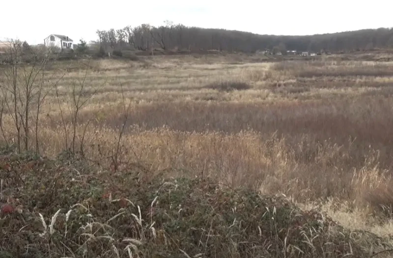 Qusardakı Bənövşə gölü 670 min manata bərpa olunacaq