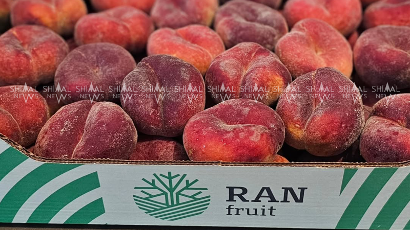 Qubada şirkət 200-dən çox şəxsin maaşını vermir