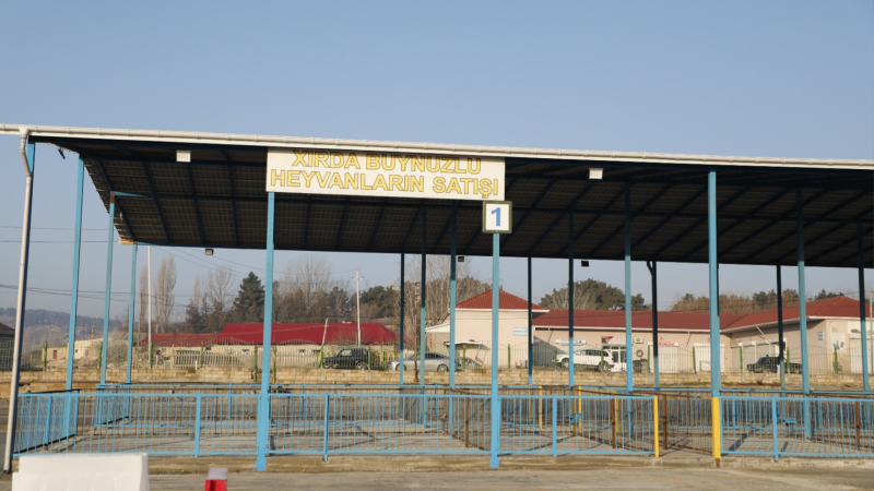 Şamaxı heyvan bazarının yaxın günlərdə açılışı olacaq