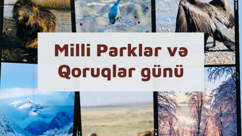 Sabah milli parklarda Açıq qapı günü keçiriləcək