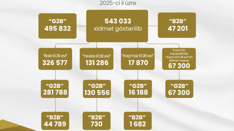 Sahibkarlar KOB evlərindən yararlanıblar - STATİSTİKA