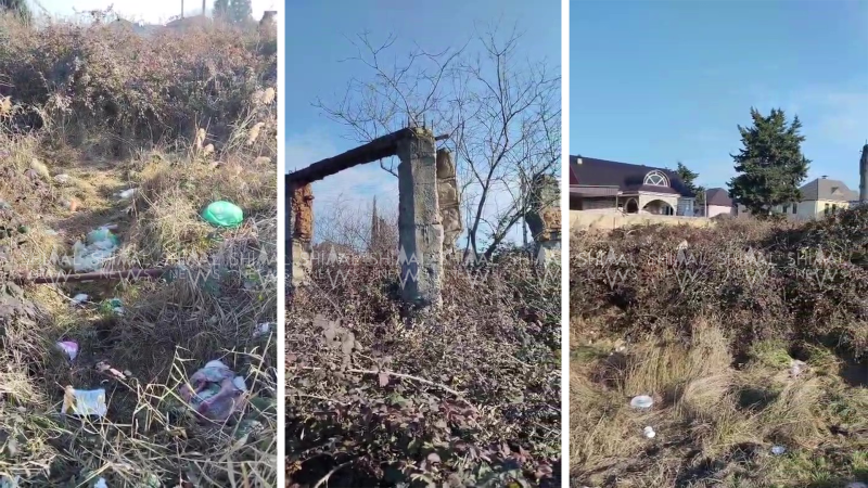 Xaçmazın mərkəzində cəngəllik - VİDEO