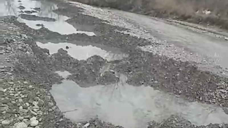 Qusarçayı talan edənlərin qarşısı alınmır - VİDEO