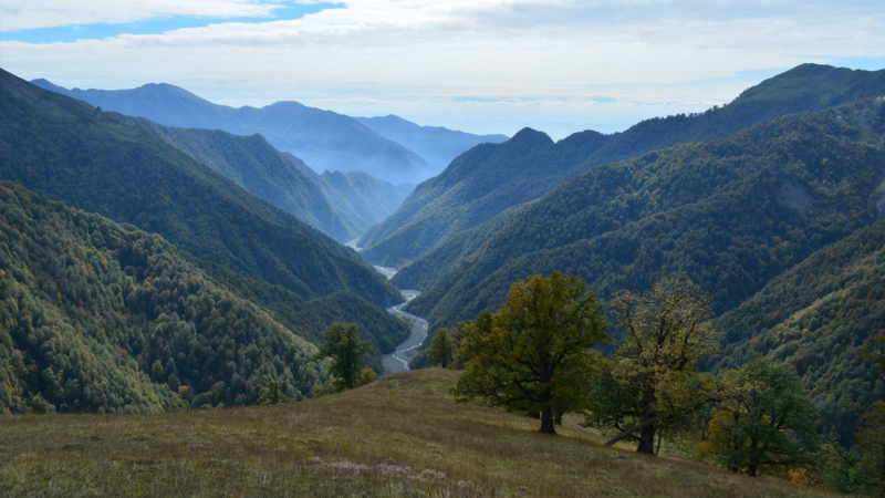 İlisu və Axar-Baxar milli parkları haqqında əsasnamələr təsdiqlənib