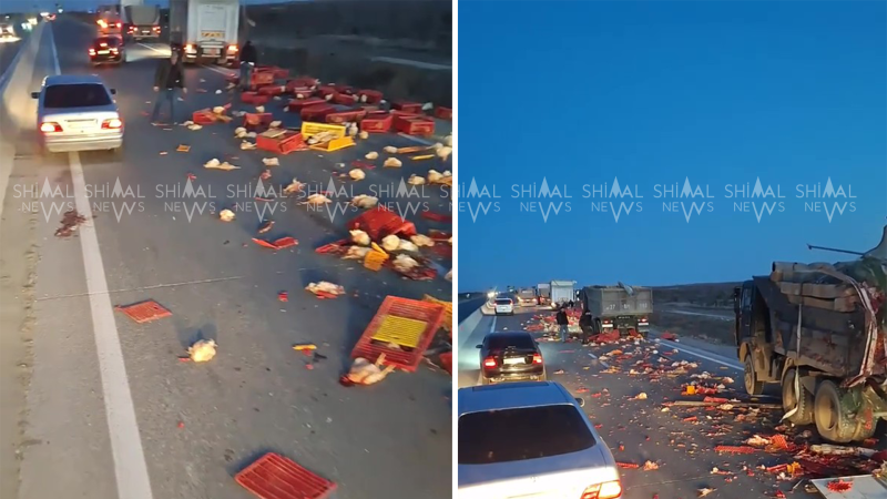 Toyuq daşıyan avtomobil qəzaya düşdü - VİDEO