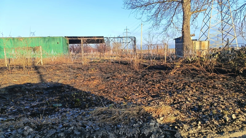 Qubada yanğın baş verib - FOTO