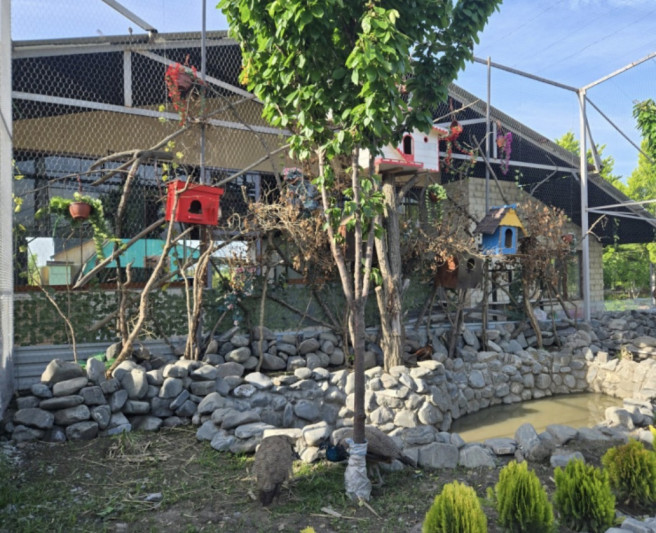 Həm turizm, həm də iş imkanı: Qaxda yeni ekopark