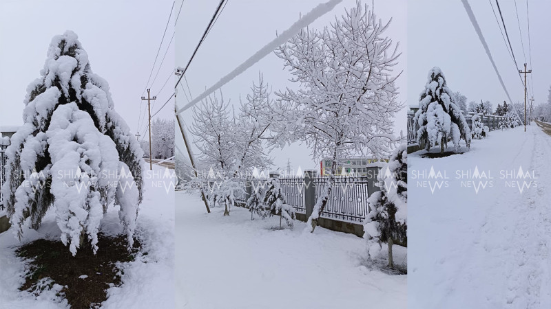 Şimala yağan qar fəsadlara yol açdı
