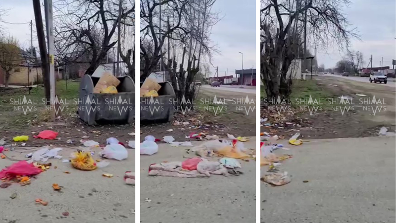 Qubanın Alekseyevka kəndində antisanitar vəziyyət: Sakinlər narazıdır