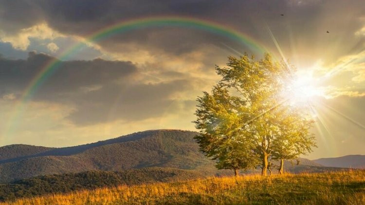 Sabah Şimalın havası necə olacaq?