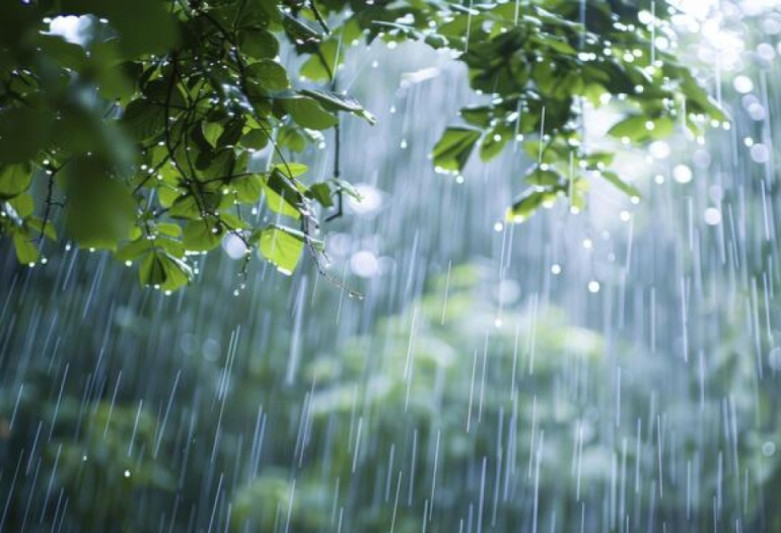 Sabah Şimalın havası necə olacaq?