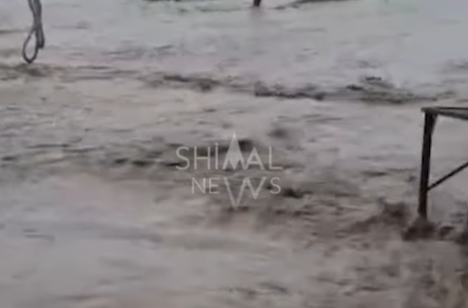 Şabranda sel təsərrüfatı viran qoydu