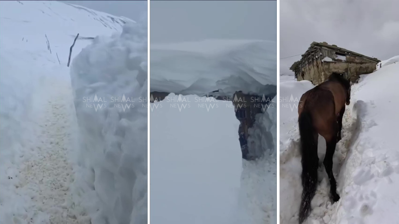 Qusarın ucqar kəndindən SOS siqnalı - 3 ailə mühasirədə qalıb