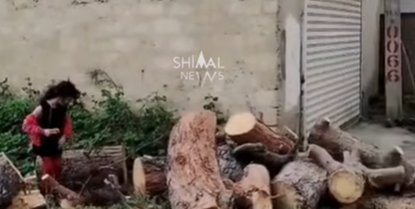 Shimal.News yazdı, təhlükə aradan qaldırıldı