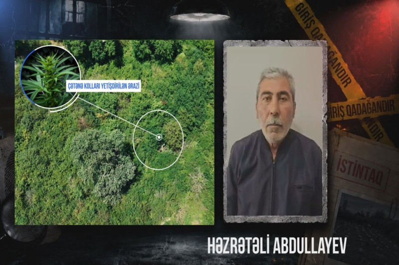 Qax meşəsində çətənə plantasiyası-Saxlanılan var