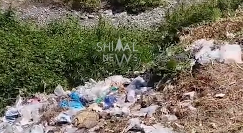 Oğuzda şəhər ərazisini kim zibilləyir?