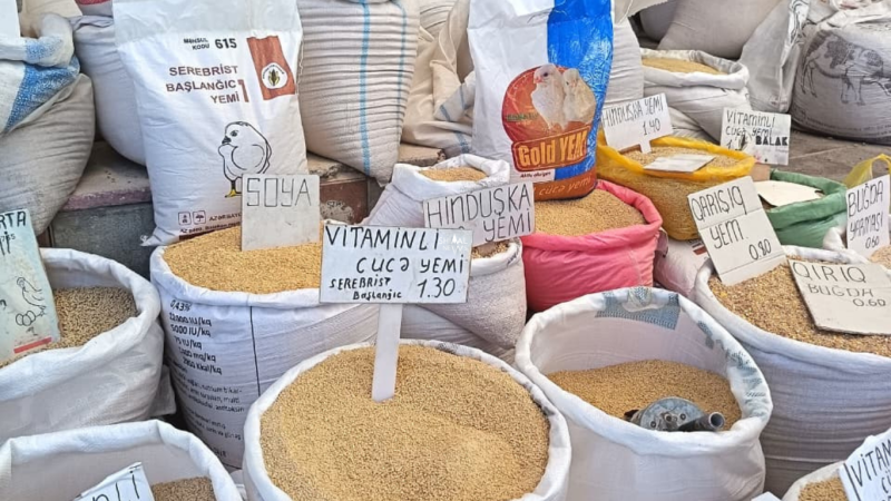 Biçin başa çatır, amma qiymətlər enmir