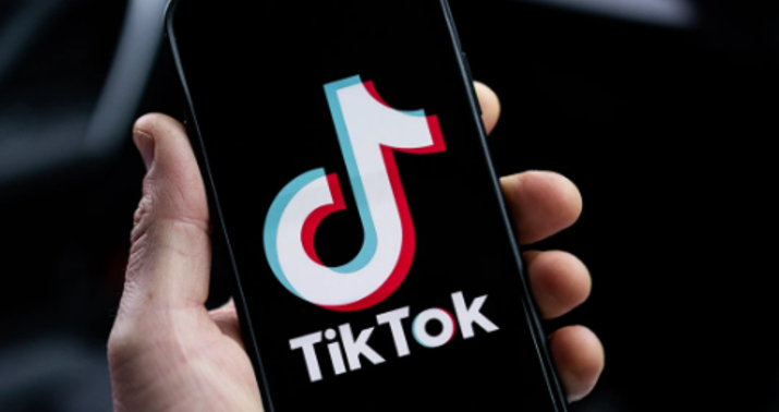 TikTokda qeyri-etik ifadələr işlədən Siyəzən sakini həbs olundu