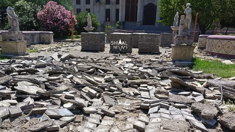 Heyvanlar parkının son vəziyyəti - FOTO