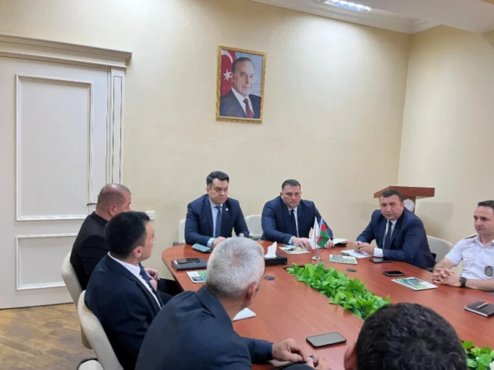 Şimalın bəzi kəndlərində Amerika ağ kəpənəyi yayılıb
