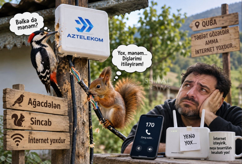 Aztelekomun ağacdələn və sincab macərası – Qubada internet düzəlmir
