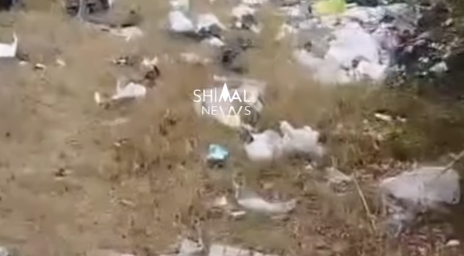 Oğuzda yol kənarı zibilliyə çevrildi