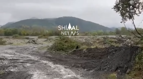 Shimal.News yazdı, qurumlar hərəkətə keçdi
