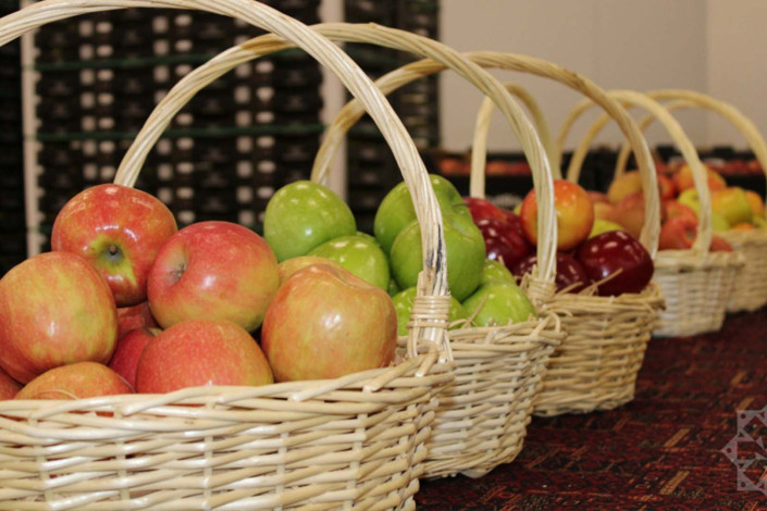 Qubada satış böhranı - Tonlarla alma anbarlarda qalıb