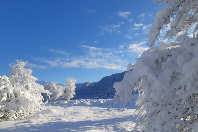 Sabah şimalın havası necə olacaq?