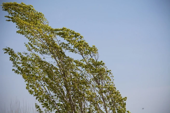 Növbəti günlərdə güclü külək əsəcək