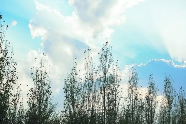 Sabah Şimalın havası necə olacaq?